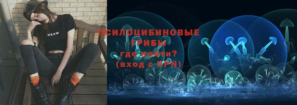 метадон Арсеньев