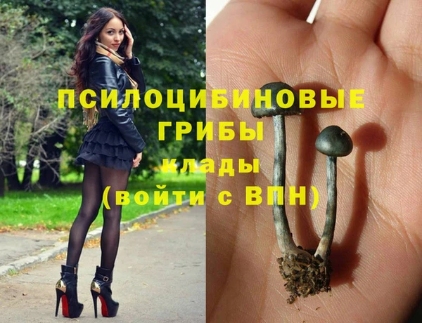 метадон Арсеньев